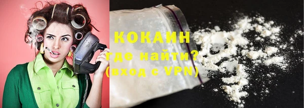 эйфоретик Богданович