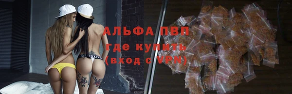 эйфоретик Богданович