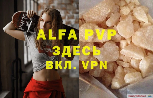 эйфоретик Богданович