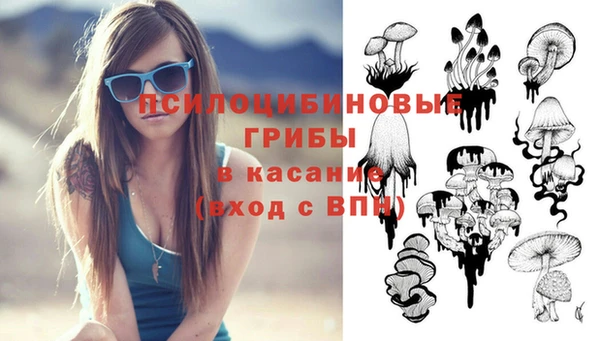 эйфоретик Протвино