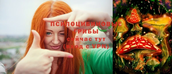 эйфоретик Богданович
