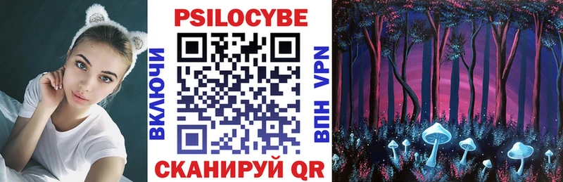 Псилоцибиновые грибы мицелий даркнет наркотические препараты Могоча
